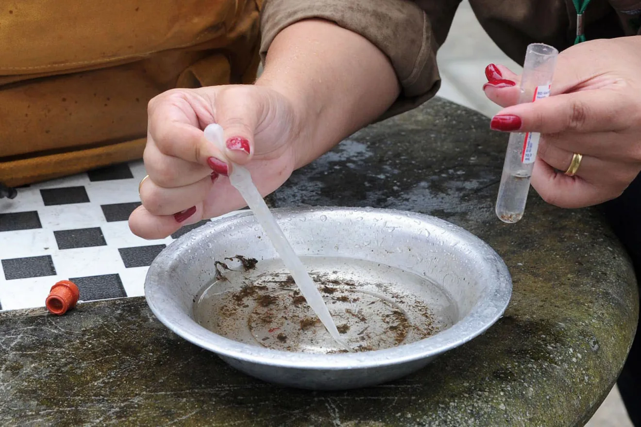 Alerta de aumento de casos de dengue no Paraná. Saiba mais sobre o retorno do sorotipo 3 e como evitar a doença - Foto: AEN Alerta de aumento de casos de dengue no Paraná. Saiba mais sobre o retorno do sorotipo 3 e como evitar a doença - Foto: AEN