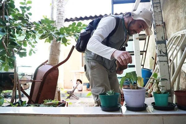 Descubra as ações planejadas pelo Município de Cascavel para combater o mosquito Aedes aegypti e prevenir uma nova epidemia de chikungunya - Foto: Secom