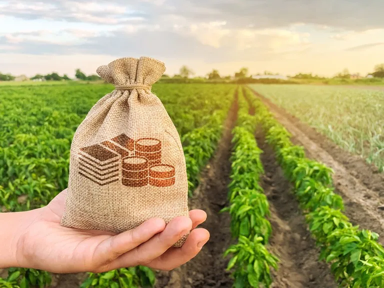 Paraná lidera o crescimento econômico na região Sul e Sudeste do Brasil, com alta de 7,5% em novembro de 2024 - Foto: Roberto Dziura Jr/AEN
