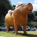 Conheça a capivara de bambu do Natal dos Pioneiros em Cascavel e seu destino definitivo no Lago Municipal da cidade - Foto: Secom