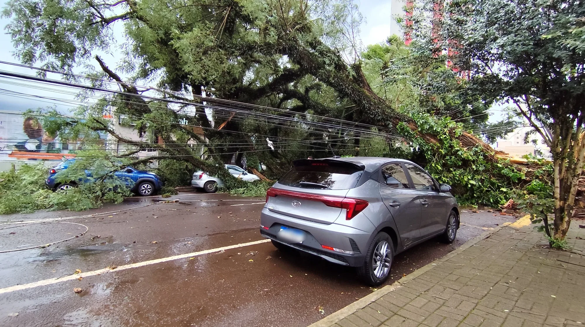 Grande temporal atinge Cascavel e causa danos em diversas regiões, incluindo a queda de árvore sobre carros estacionados - Foto: Luiz Felipe Max/SOT