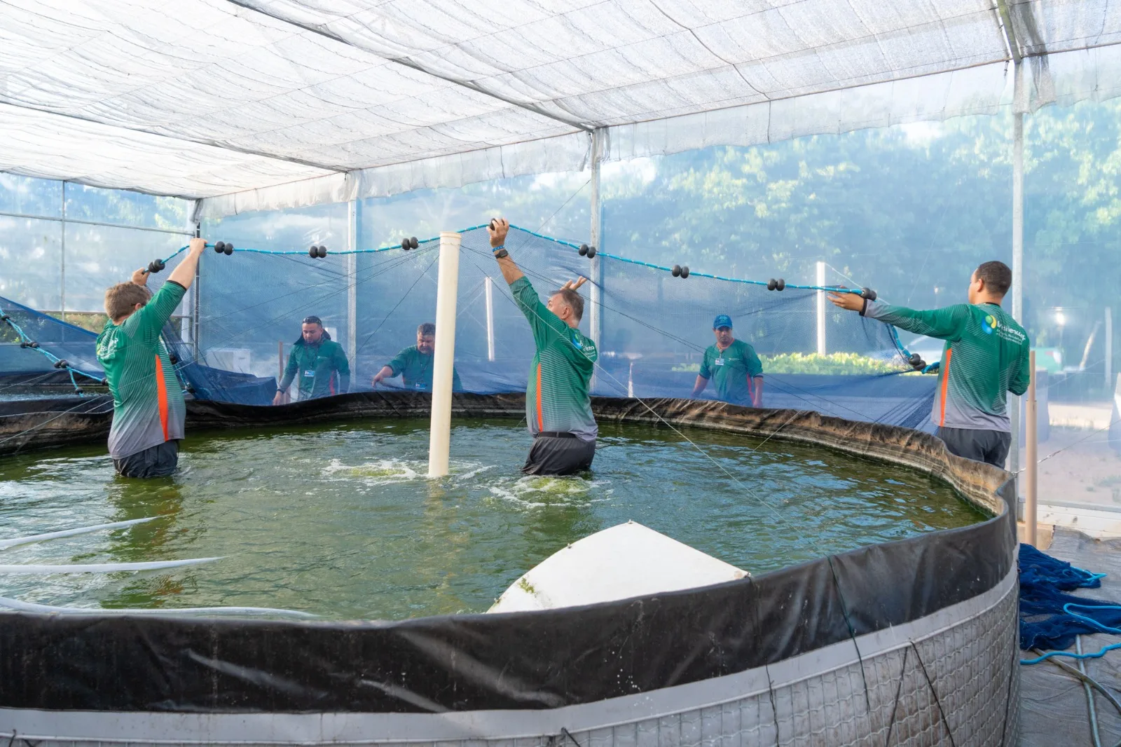 Conheça a pesquisa da Itaipu Binacional para a produção de dourado em tanques-rede, gerando novas fontes de renda e preservando o estoque natural - Foto: Assessoria 