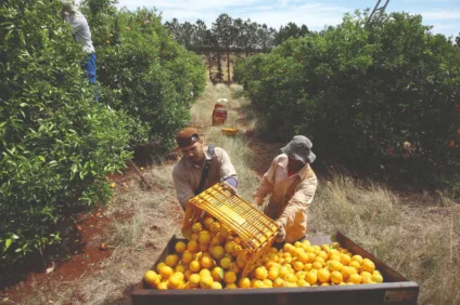 Entenda a atual crise do agronegócio no Brasil e as reações da liderança diante das altas de preços nos supermercados - Foto: AEN