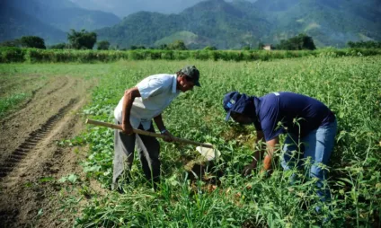 Descubra as novas medidas do governo sobre o Plano Safra e como o Desenrola Rural ajuda os produtores a quitarem dívidas - Foto: Foto: ABr