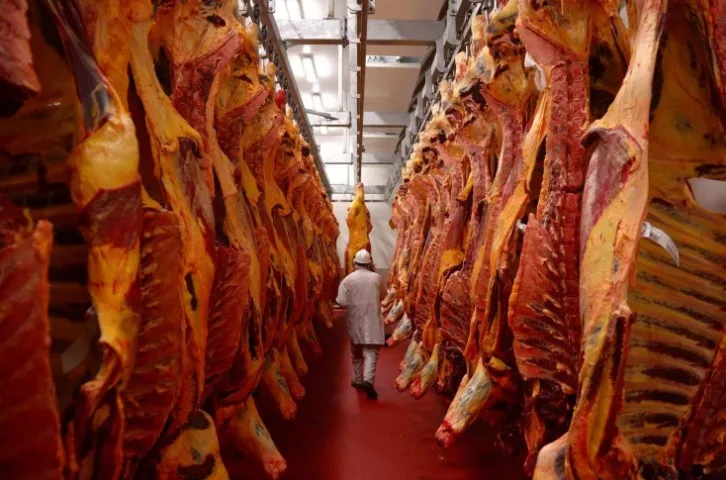 As exportações de carne bovina cresceram 5% em volume e 11% em receita, mesmo com a queda nas importações pela China - Foto: Divulgação