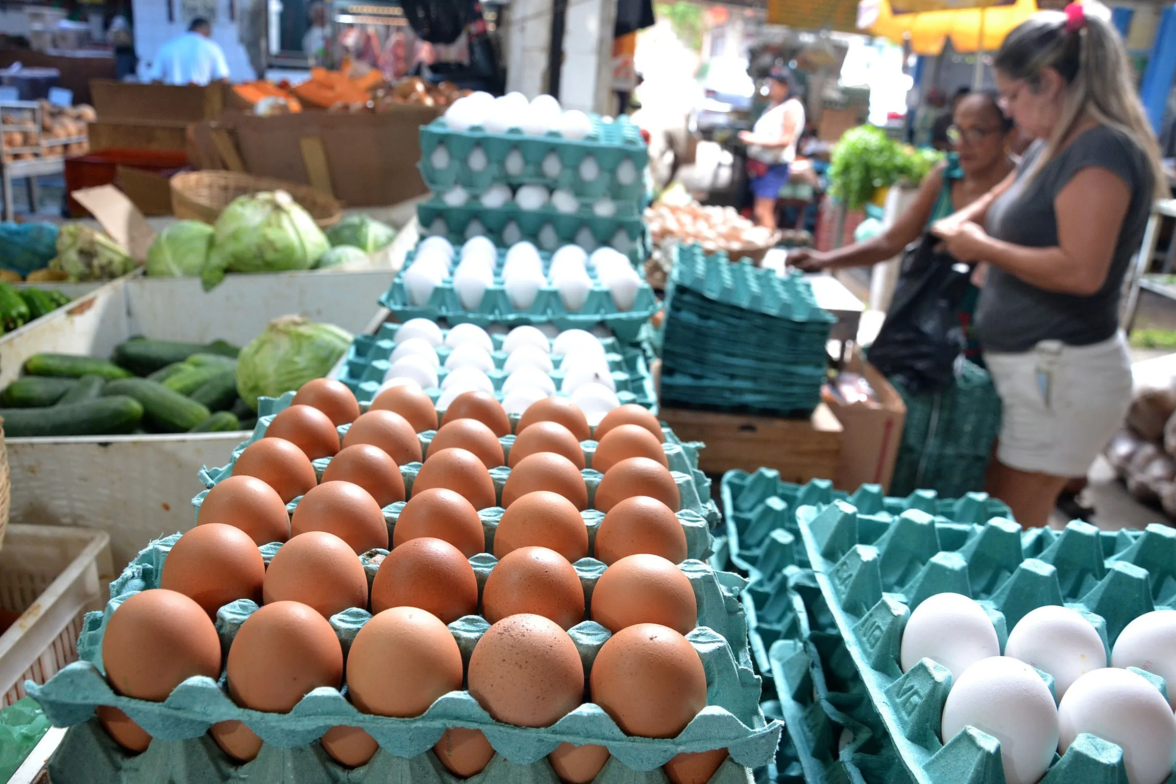 Entenda como os preços dos ovos estão afetando o Brasil, com aumentos que impactam os consumidores e comerciantes - Foto: Divulgação