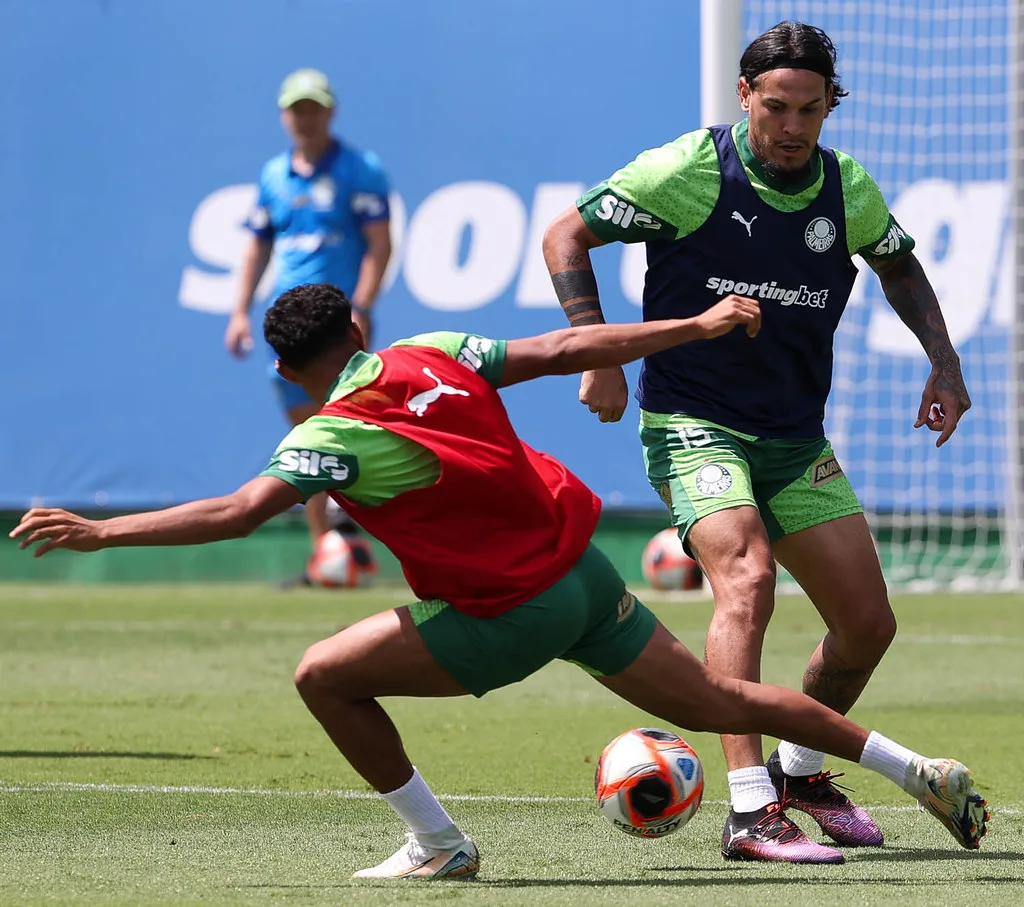 Acompanhe o Palmeiras em sua luta no Paulistão. O time enfrenta a Internacional para continuar na briga pela classificação - Foto: Cesar Greco/Palmeiras