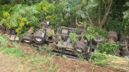 Acidente grave na BR-277: caminhão tomba e motorista morre no local. PRF investiga as causas do acidente - Foto: Divulgação/PRF