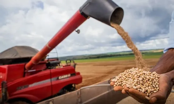 Entenda o cenário atual do agronegócio no Paraná. Menor volume de crédito contratado pelo Plano Safra 