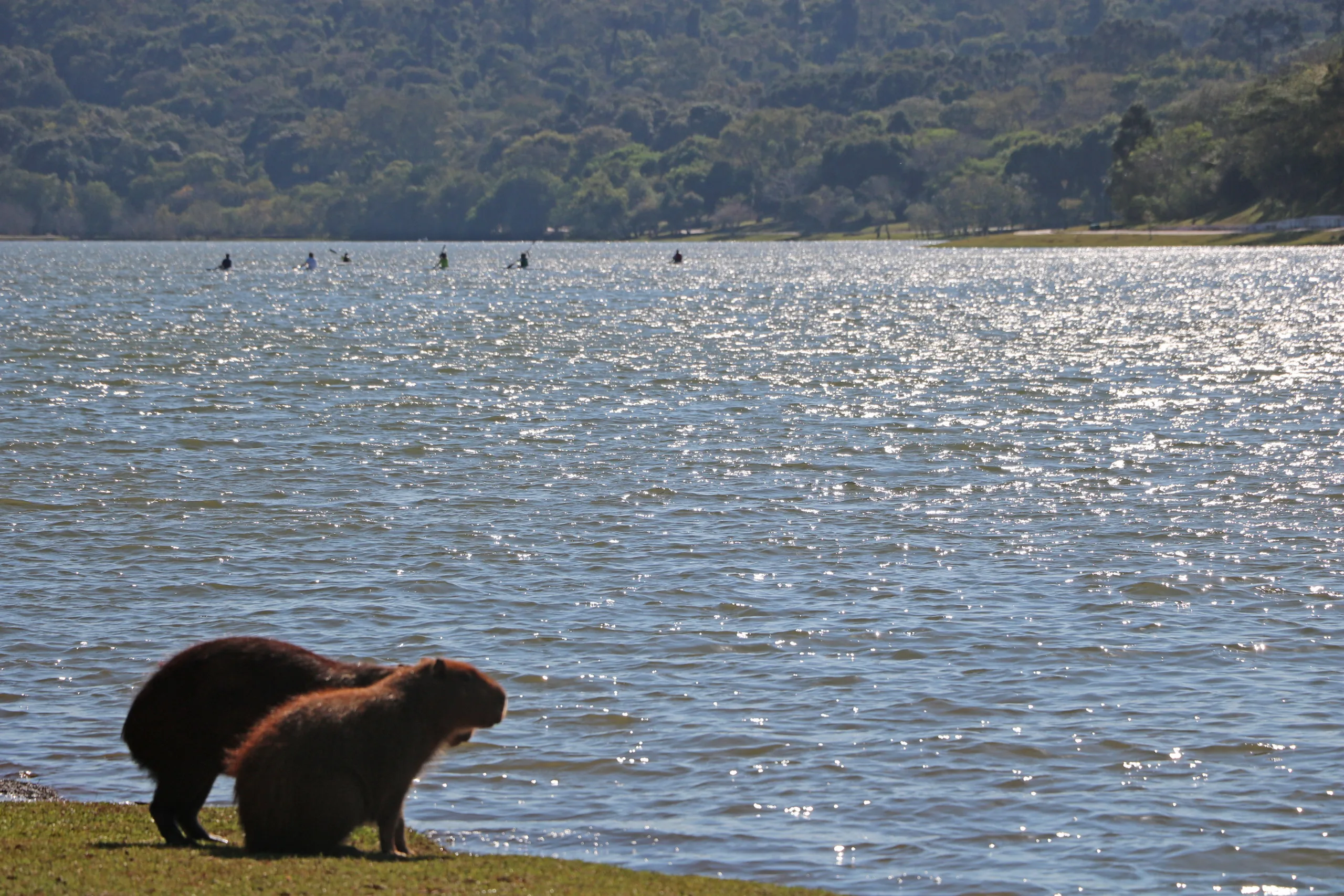 Após duas semanas de verão intenso, tempo ficará mais ameno no Paraná com frente fria