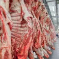 Entenda como a China influencia a exportação de carne brasileira com embargos. O impacto real é menor do que se imagina - Foto: ABIEC