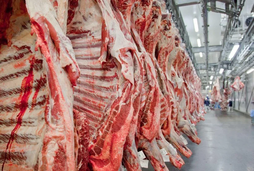 Entenda como a China influencia a exportação de carne brasileira com embargos. O impacto real é menor do que se imagina - Foto: ABIEC