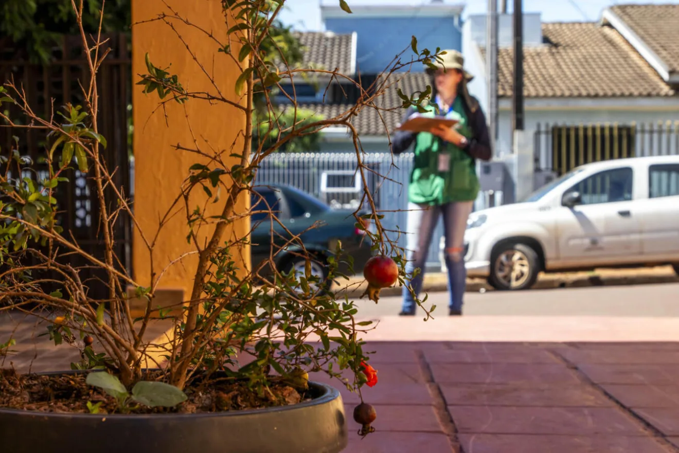 O Centro e o Panorama I concentram o maior número de casos positivos da doença O Centro e o Panorama I concentram o maior número de casos positivos da doença