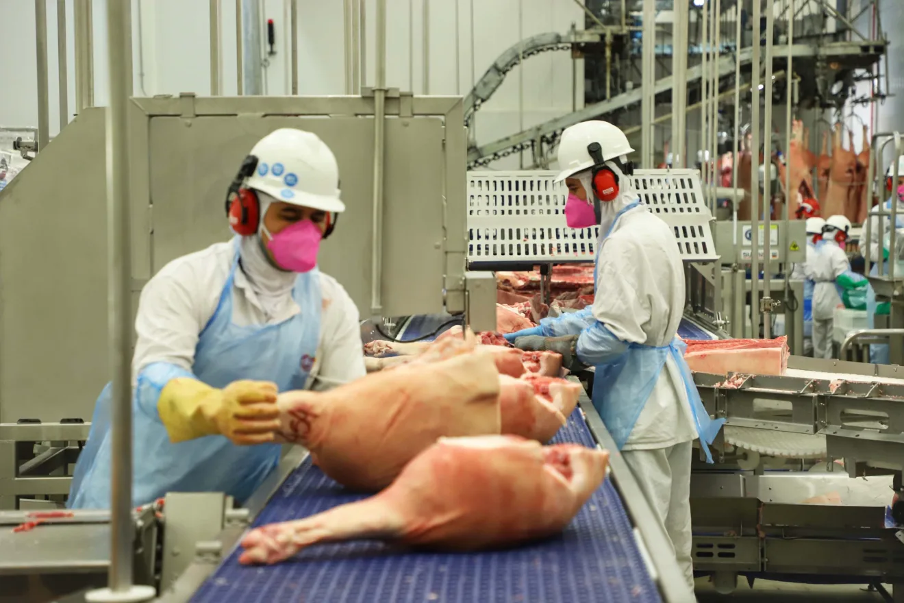 Em 2024, o Paraná atinge a maior produção de suínos da história, com um crescimento significativo na participação nacional - Foto: José Fernando Ogura/Arquivo AEN