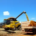 Este resultado foi alcançado mesmo diante de um cenário com condições climáticas desfavoráveis, com poucas chuvas, o que afetou a produção agrícola e energética no período.

Fotos:Jaelson Lucas / Arquivo AEN