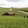 Saiba como a inovação tecnológica está conectada ao Plano Safra e aos desafios da agropecuária brasileira - Foto: Wenderson Araújo/ Agência Brasil