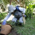 Cascavel enfrenta aumento de casos de Febre Chikungunya. Descubra os dados recentes e o que está sendo feito - Foto: Secom