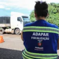 O Brasil está em alerta contra a gripe aviária. Descubra os detalhes sobre os focos da doença e suas implicações -  Foto: Geraldo Bubniak/AEN