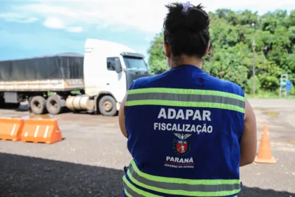 O Brasil está em alerta contra a gripe aviária. Descubra os detalhes sobre os focos da doença e suas implicações -  Foto: Geraldo Bubniak/AEN