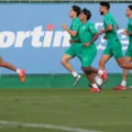O Palmeiras busca mais uma vitória contra o Ceará na Copa do Brasil, aumentando seu favoritismo com resultados impressionantes - Foto: Cesar Greco/Palmeiras