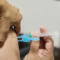 A vacinação é fundamental. Descubra a importância da vacina contra a gripe e Covid-19 em tempos de aumento das SRAG -  Foto: Gilson Abreu/ANPr