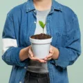 Feira do Teatro terá ação especial de trocas e doações de plantas neste domingo (18)