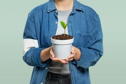Feira do Teatro terá ação especial de trocas e doações de plantas neste domingo (18)