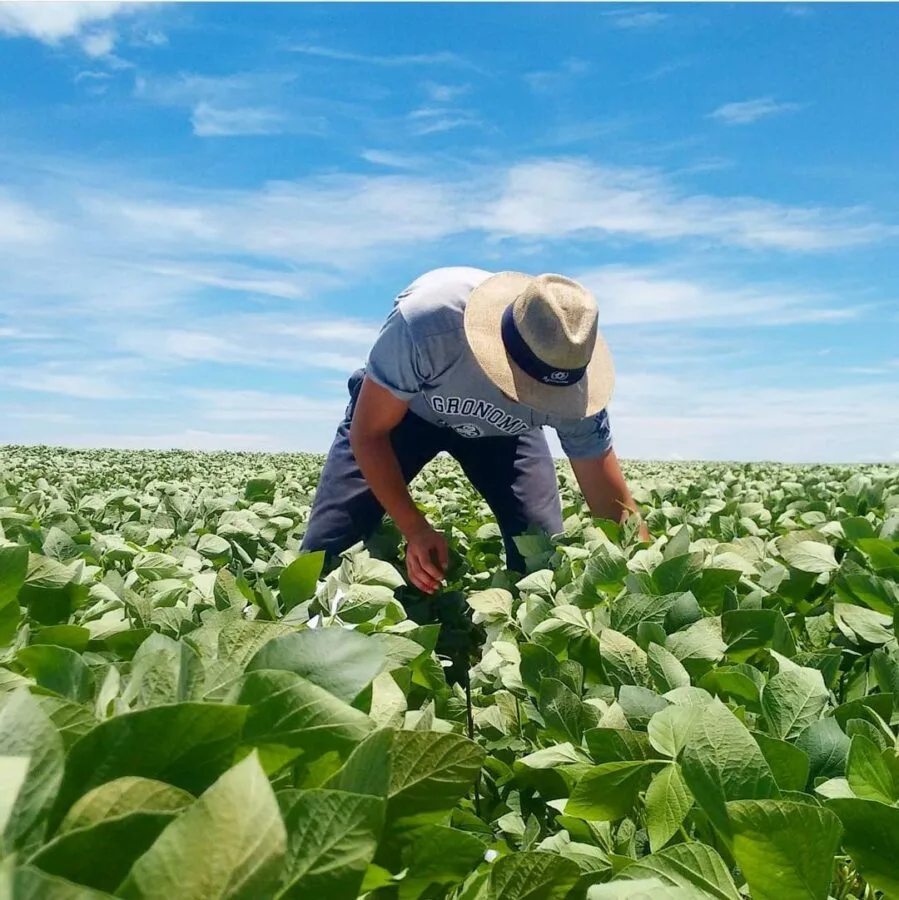 Celebrando 78 anos, a FEAPR valoriza a agronomia do Paraná e promove a sustentabilidade e a inovação no setor agrícola - Foto: Divulgação Celebrando 78 anos, a FEAPR valoriza a agronomia do Paraná e promove a sustentabilidade e a inovação no setor agrícola - Foto: Divulgação