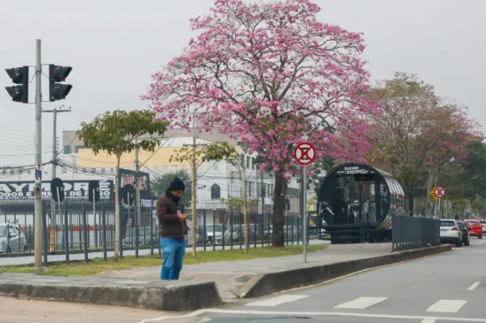 Temperaturas negativas no Paraná marcam o início de 2025 com registro de -0,3°C em Palmas. Confira os detalhes! - Foto: Gabriel Rosa/AEN