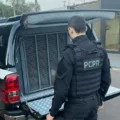 Polícia Civil realiza operação em Cascavel para combater crimes patrimoniais, cumprindo mandados de busca em diversas residências - Foto: Divulgação/PC