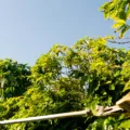 Entenda como a redução da jornada de trabalho proposta pela FAEP pode impactar os custos no setor agropecuário - Foto: FAEP