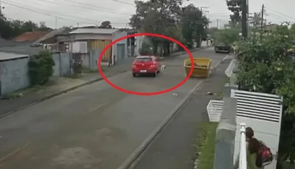 Vídeo mostra atropelamento que resultou na morte de cão; mulher foi indiciada por maus-tratos