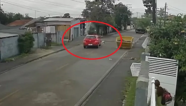 Vídeo mostra atropelamento que resultou na morte de cão; mulher foi indiciada por maus-tratos