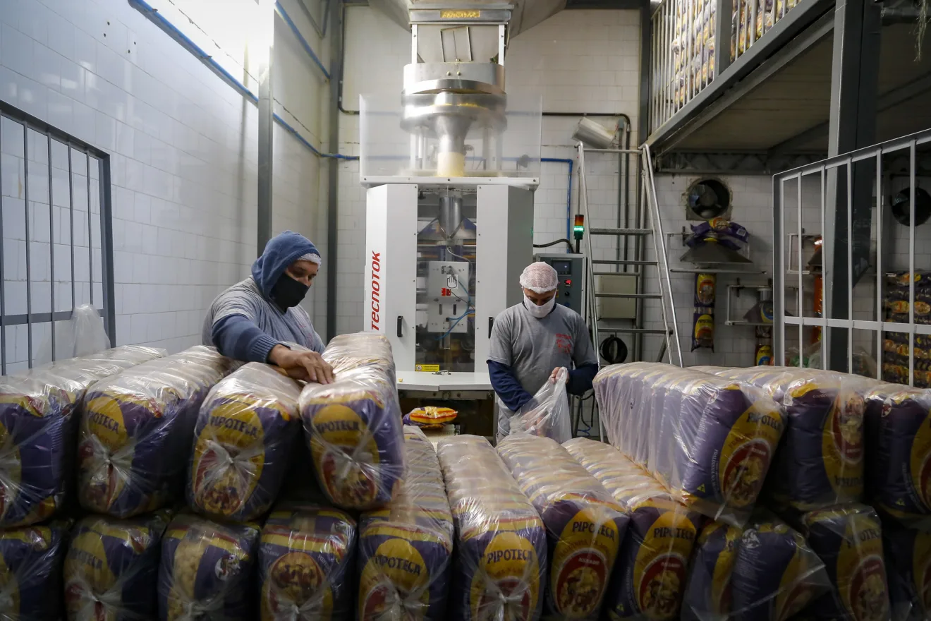 Descubra o crescimento do Paraná, que teve o maior aumento no rendimento médio mensal per capita entre os estados do Brasil - Foto: Gilson Abreu/AEN