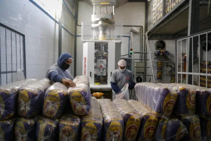 Descubra o crescimento do Paraná, que teve o maior aumento no rendimento médio mensal per capita entre os estados do Brasil - Foto: Gilson Abreu/AEN