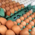 Paraná é um dos destinos de ovos de granja onde ocorreu foco