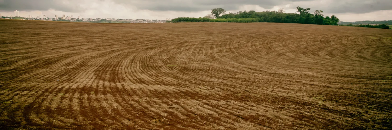 Descubra as novas diretrizes sobre o cultivo de soja no Brasil e os períodos de vazio sanitário para a safra 2025/26 - Foto: FAEP Descubra as novas diretrizes sobre o cultivo de soja no Brasil e os períodos de vazio sanitário para a safra 2025/26 - Foto: FAEP