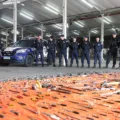 A população pode contribuir com a operação fazendo denúncias à Guarda ou à Polícia - Foto: Secom 