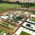 Conheça o Copacol e suas inovações em agricultura e pecuária. Descubra o impacto positivo na vida dos cooperados - Foto: Comunicação/Copacol