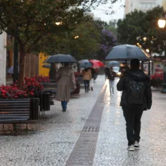 Foto: Geraldo Bubniak/AEN
