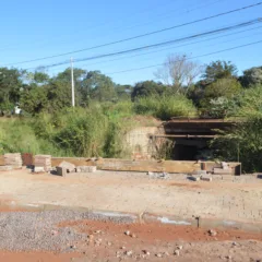 O Ecopark Floresta em Cascavel irá recomeçar as obras com nova licitação e investimentos de US$ 27,5 milhões - Foto: Paulo Eduardo/O Paraná