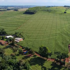 Saiba tudo sobre o novo prazo para ratificação de imóveis rurais na faixa de fronteira, prorrogado até 31 de dezembro de 2030 - Foto: AEN