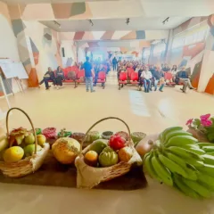 Entenda os desafios do Agronegócio no Paraná. Apenas 26% dos agricultores familiares acessam o Pronaf para financiamentos - Foto:  Vandré Dubiela 