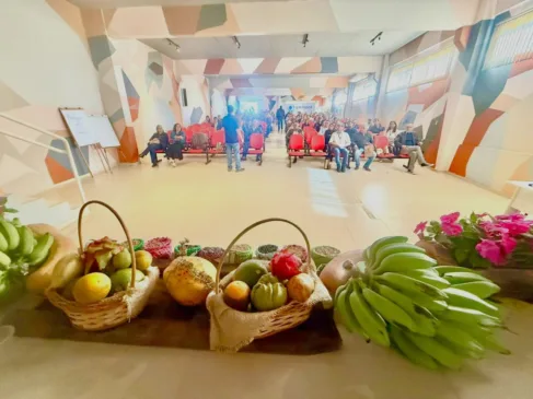 Entenda os desafios do Agronegócio no Paraná. Apenas 26% dos agricultores familiares acessam o Pronaf para financiamentos - Foto:  Vandré Dubiela 