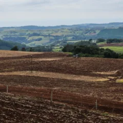 Saiba mais sobre o período de vazio sanitário da soja no Oeste do Paraná e suas implicações para os agricultores - Foto: Foto: AEN