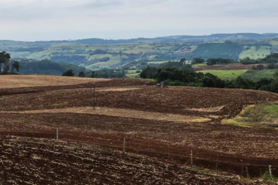Saiba mais sobre o período de vazio sanitário da soja no Oeste do Paraná e suas implicações para os agricultores - Foto: Foto: AEN