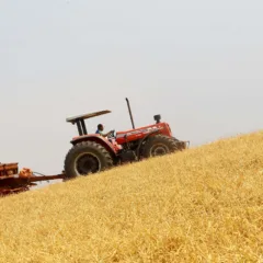 Entenda como as decisões do governo impactam o agronegócio no Brasil e quais os efeitos para a economia nacional - Foto: Wanderson Araújo/CNA