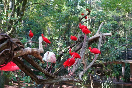 Foto: Divulgação/Assessoria