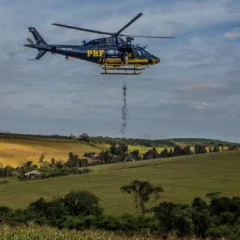 A PRF e a semeadura aérea: conheça os detalhes da ação em prol das espécies nativas durante a Semana do Meio Ambiente - Foto: PRF