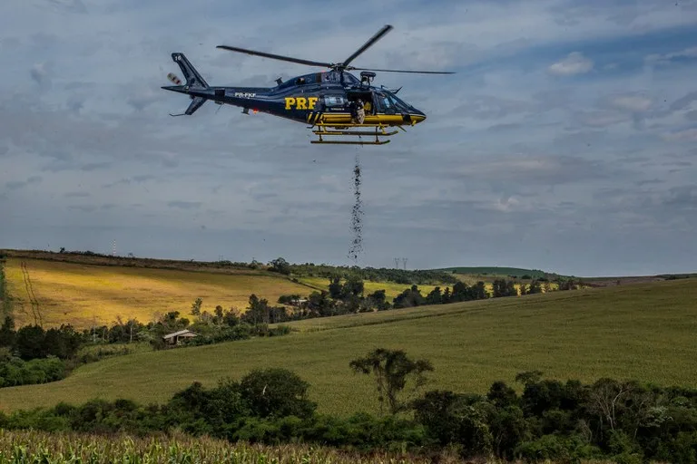 A PRF e a semeadura aérea: conheça os detalhes da ação em prol das espécies nativas durante a Semana do Meio Ambiente - Foto: PRF A PRF e a semeadura aérea: conheça os detalhes da ação em prol das espécies nativas durante a Semana do Meio Ambiente - Foto: PRF